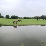 The Monmouth and Brecon Canal