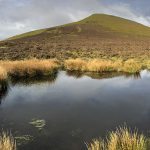 Dew pond on the Sugar Loaf